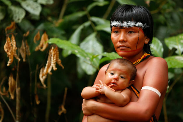 DOM ALDO DI CILLO PAGOTTO DEFENDE ÍNDIOS DA FLORESTA AMAZÔNICA