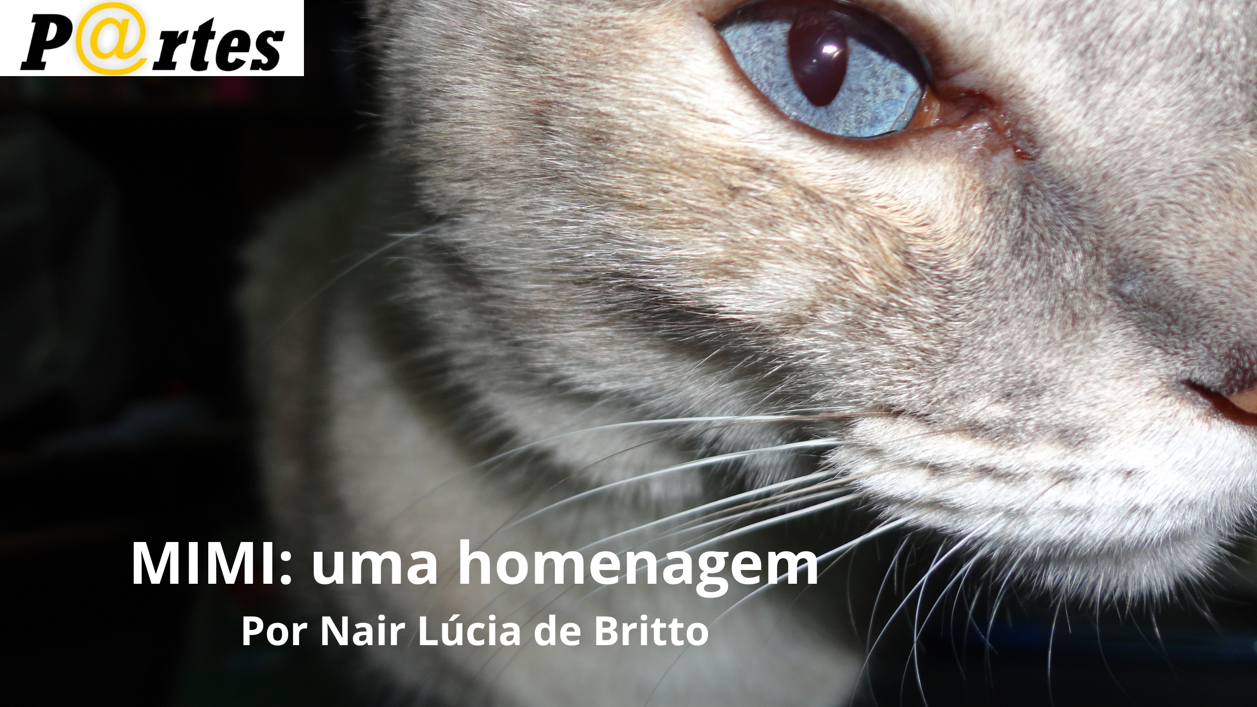 MIMI, Um amor pra toda vida!