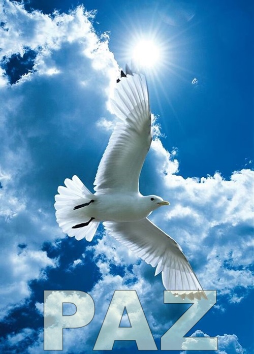 MENSAGEM PSICOGRAFADA AO POVO BRASILEIRO