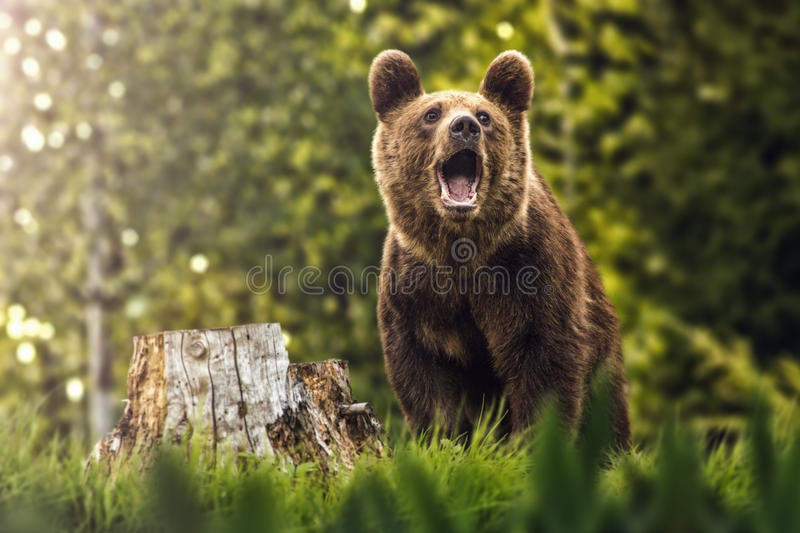 AS TRAGÉDIAS CLIMÁTICAS A Espiritualidade alerta
