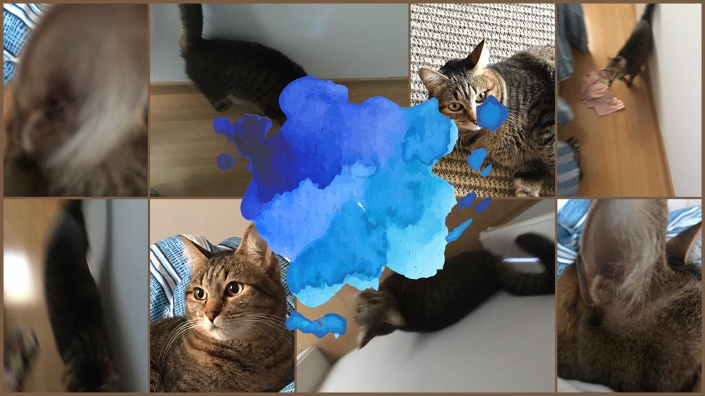 CONSIDERAÇÕES SOBRE O PARADOXO DO AMIGO DE WIGNER