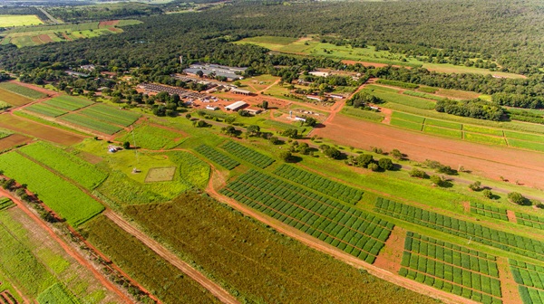 Cerrados e a travessia da ciência: 50 anos de transformação agrícola e compromisso com o futuro
