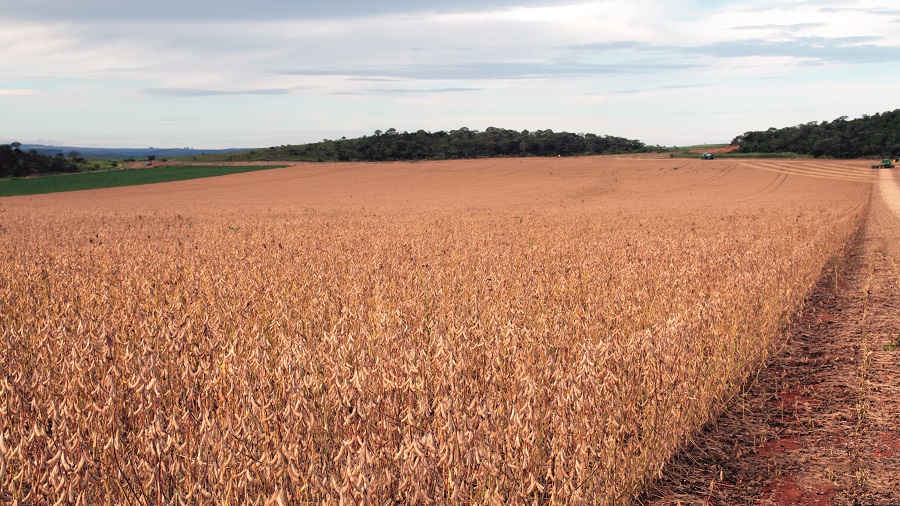 Índice de viabilidade de produção de culturas anuais pode contribuir para a sustentabilidade da agricultura