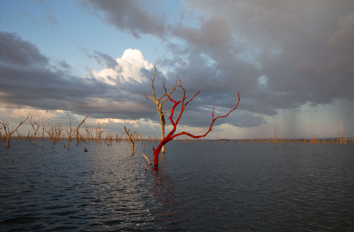 Amazônia, lugar de encanto e espanto