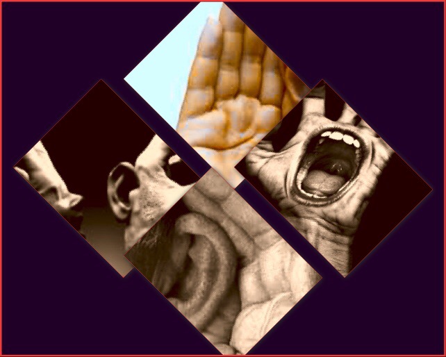 “Diálogo de surdos”