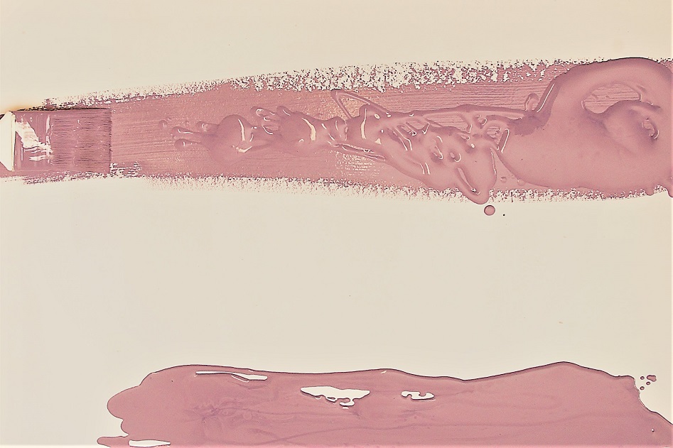 Identidades e diferenças na escola: desafios aos educadores