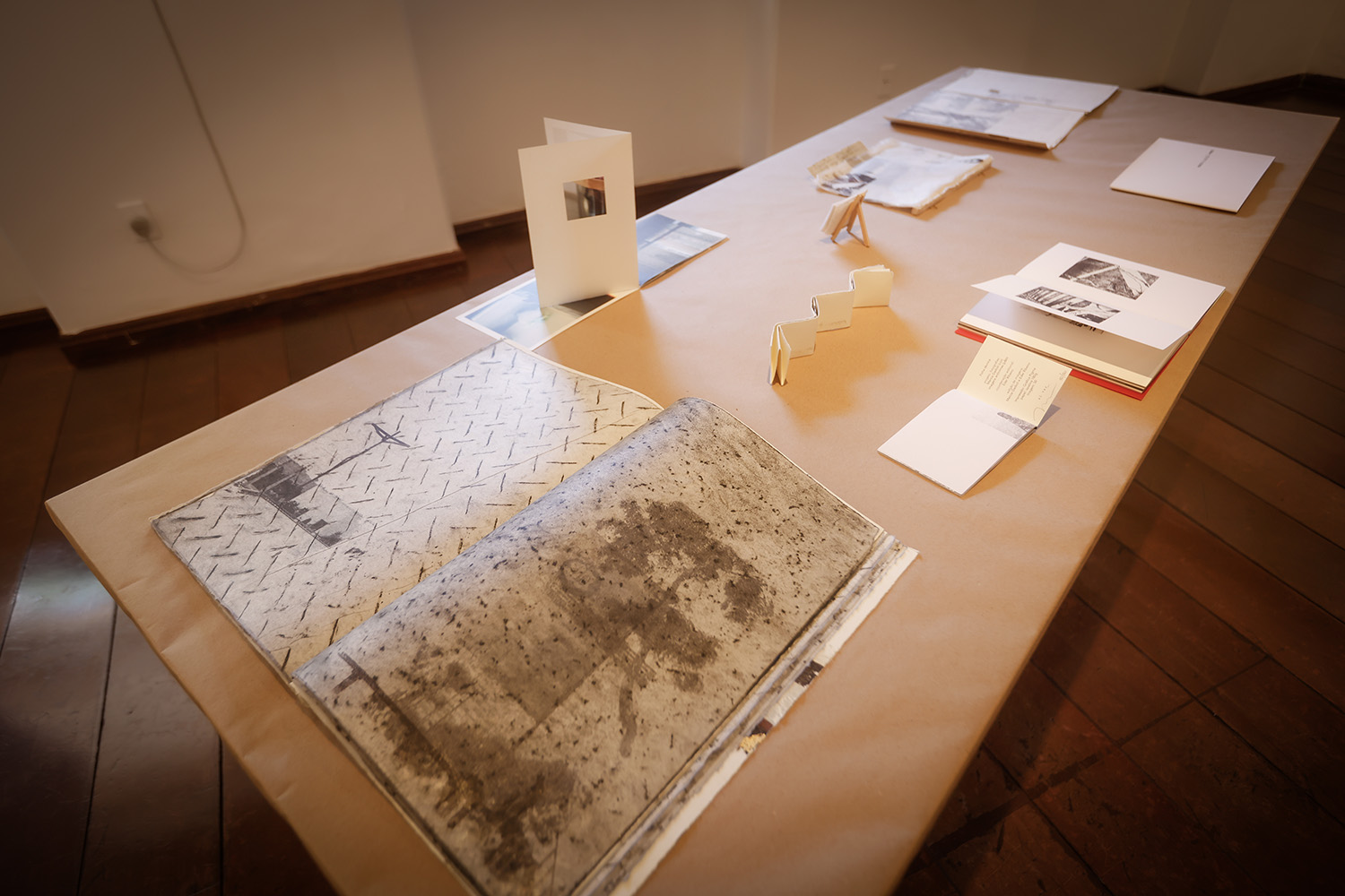 Marcia Gadioli traz a mostra ‘Territórios’ para a Pinacoteca de São Bernardo do Campo