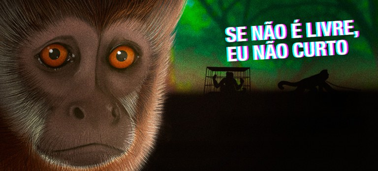 Campanha aborda o papel das redes sociais no estímulo ao tráfico de animais silvestres