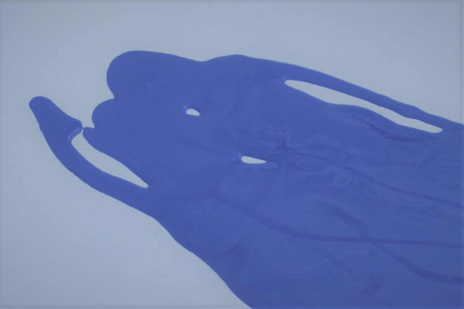 O que eu queria ter aprendido na escola?