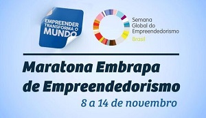 Biscoito de babaçu das quebradeiras de coco do Maranhão marca presença  na Maratona Embrapa de Empreendedorismo