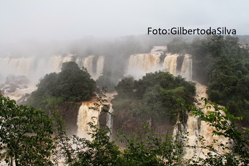 Natureza: uma questão de bem-estar e saúde pública