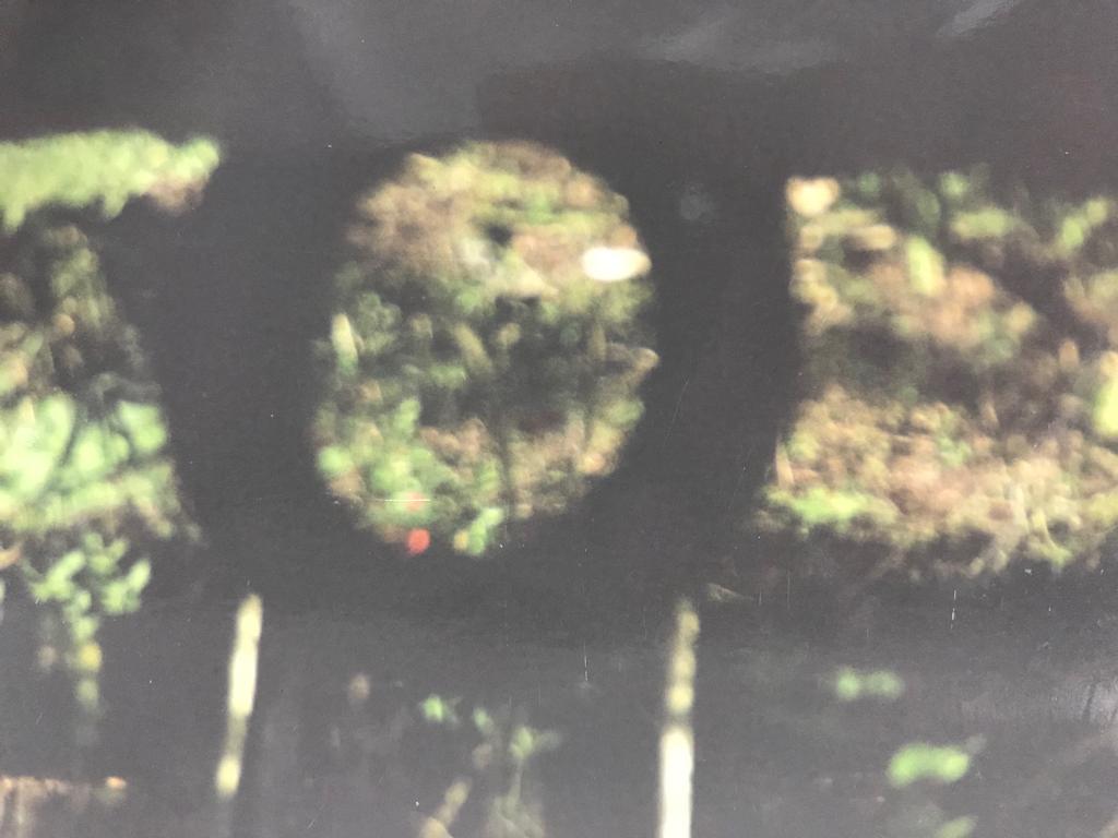 Relato Sobre a Realização de Estágio Supervisionado em Surdez do Curso de Licenciatura em Educação Especial (EaD) da Universidade Federal de Santa Maria (UFSM) sob a Perspectiva da Educação Inclusiva no Século XXI