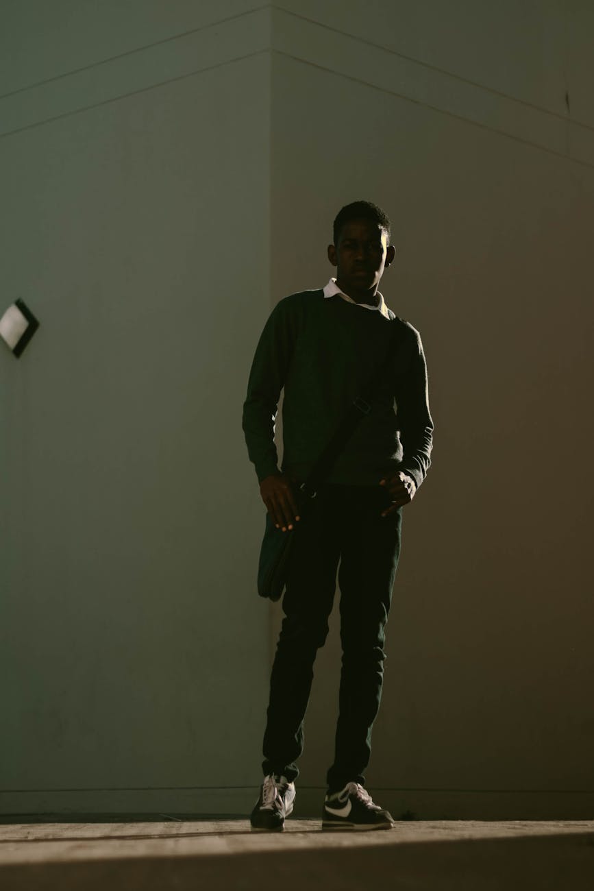 O Novo Estado (das Coisas)