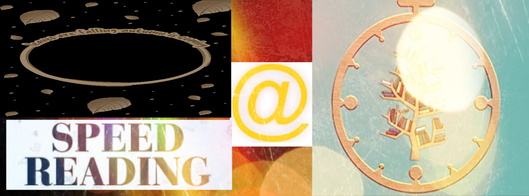 SPEED READING: UMA ANÁLISE SOBRE AS TÉCNICAS DE LEITURA NA FORMAÇÃO DO LETRAMENTO DOS ALUNOS DO ENSINO MÉDIO DA EEEFM MOACYR CARAMELLO, DE CHUPINGUAIA, RO