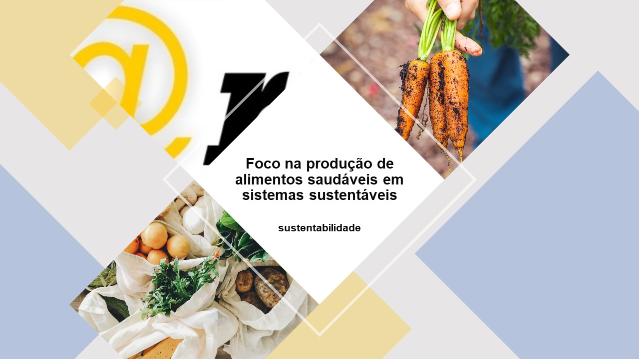 Foco na produção de alimentos saudáveis em sistemas sustentáveis