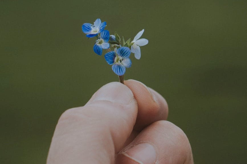 A saúde do homem, muito além do câncer de próstata