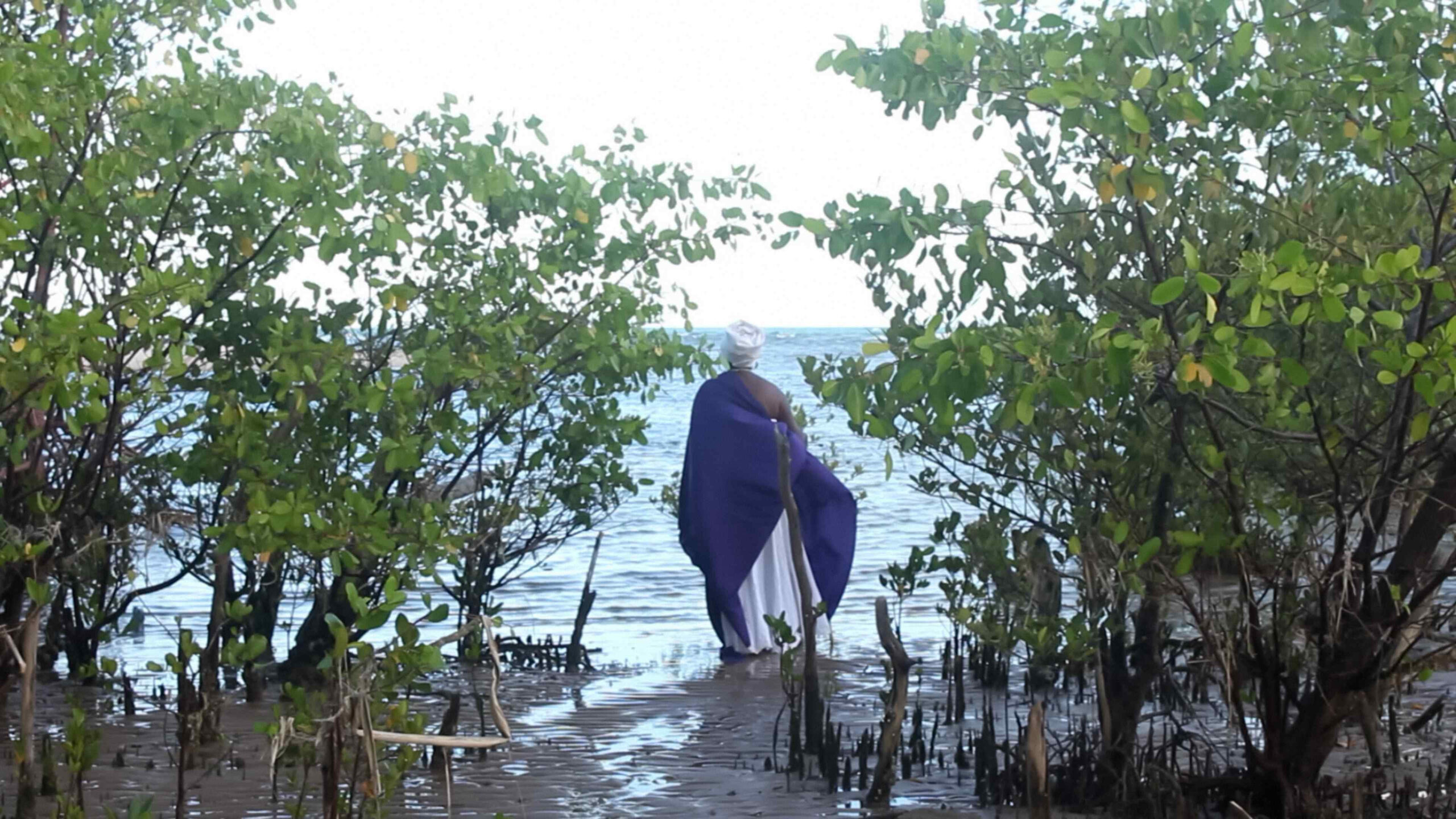 INSCRIÇÕES ABERTAS PARA A 15ª MOSTRA ECOFALANTE DE CINEMA