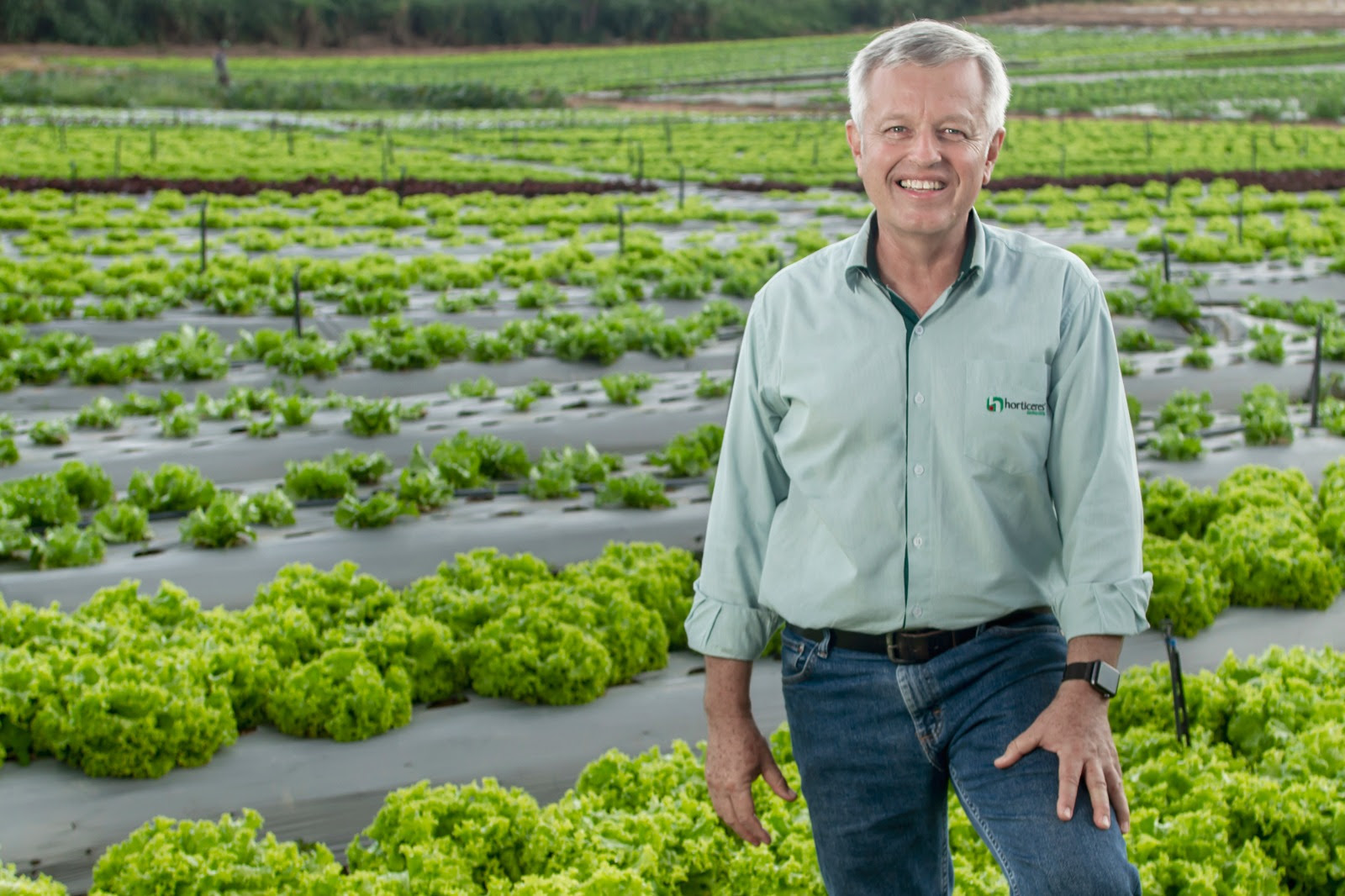 Sua salada mudou e você nem percebeu!
